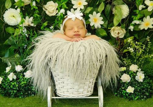 Newborn de Ensaio Newborn