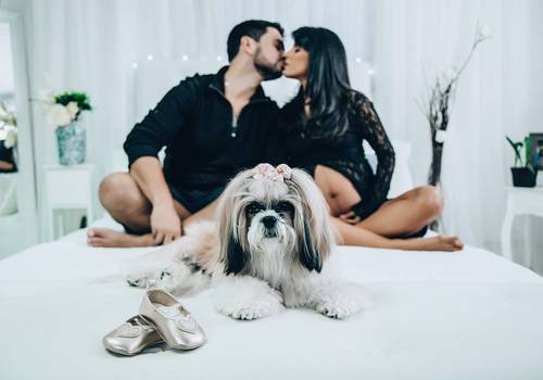 Gestante de Ensaio Gestante - Studio