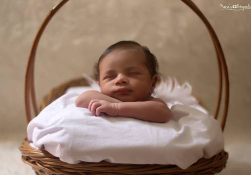 Newborn de Ensaio Newborn