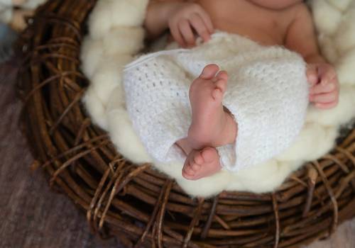Newborn de Ensaio Newborn