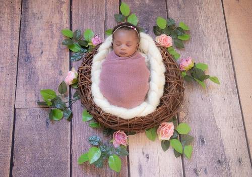 Newborn de Ensaio Newborn
