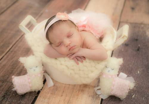 Newborn de Ensaio Newborn