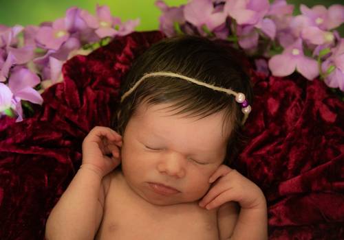 Newborn de Ensaio Newborn