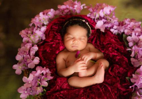 Newborn de Ensaio Newborn