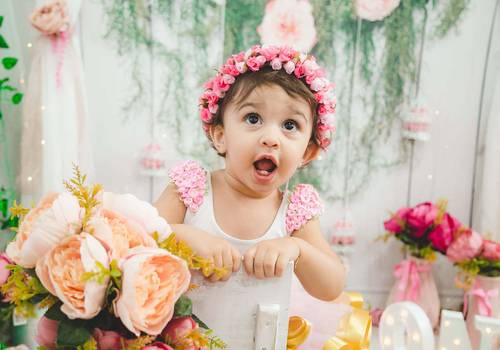 Infantil de Ensaio Infantil Smash The Cake