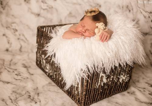 Newborn de Ensaio Newborn