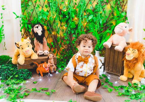 Infantil de Ensaio Smash The Cake
