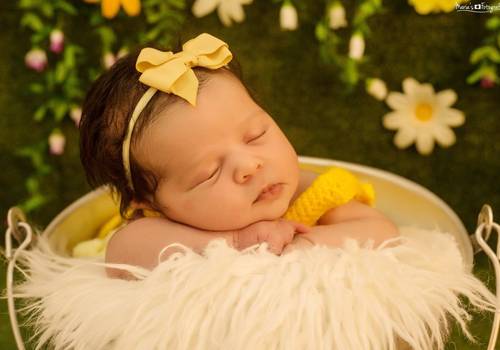 Newborn de Ensaio Newborn