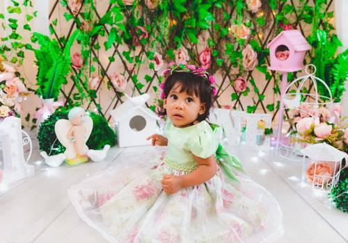 Infantil de Ensaio Smash The Cake