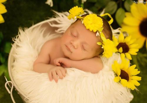 Newborn de Ensaio Newborn