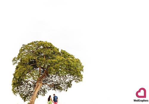 Fotos Premiadas de Fotos premiadas internacionalmente pela Wedgraphers