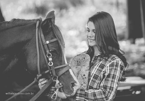 Fifteen Book de Fifteen Book Julia Amanda