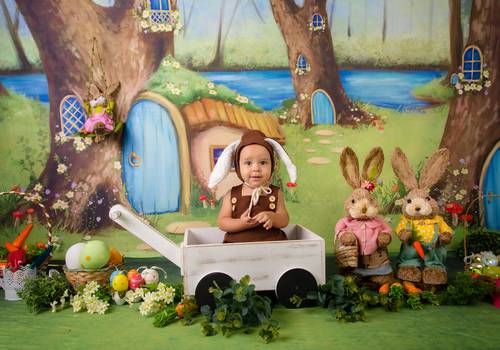 Acompanhamento de 10 meses do Lindo Davi