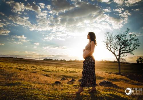 Gestantes de Simone Lobo