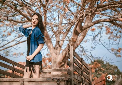 15 anos de Book Yngrid