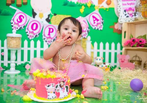 Smash The Cake de Smash The Cake da Sophia 1 Aninho ( Tema: Fazendinha Rosa)
