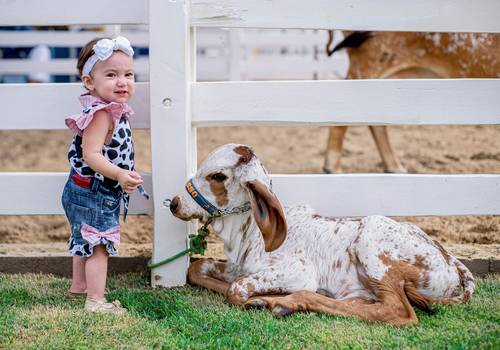 Ensaio Externo - Infantil  de Ana Catarina - 1 Ano