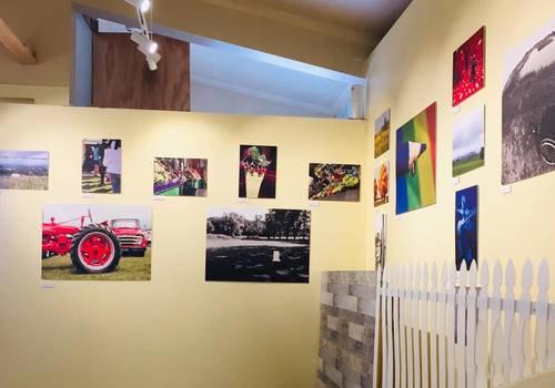 Frankton Art Galery - Hamilton