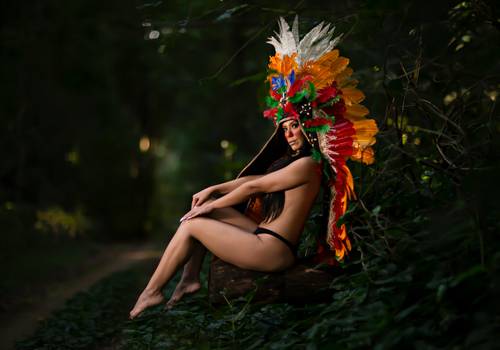 Ensaios de Ensaio Índia -  Elisa