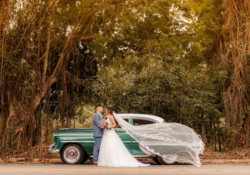 Casamento de Aline e Ricardo