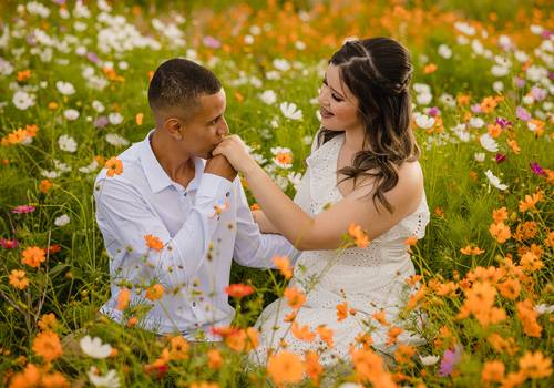 Civil de Casamento Civil no Cartório de São Gotardo