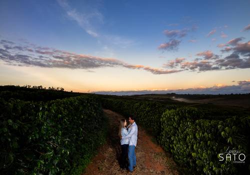 Pré Wedding de Mariana & Takashi