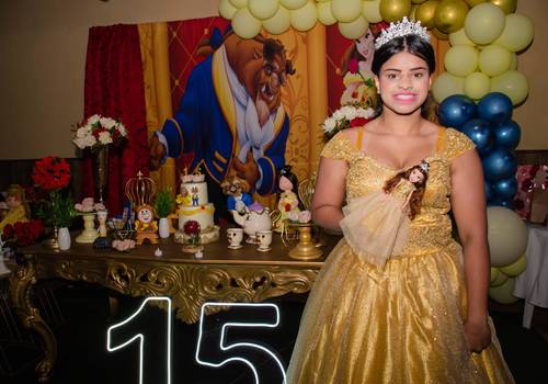 15 anos de Ana Júlia