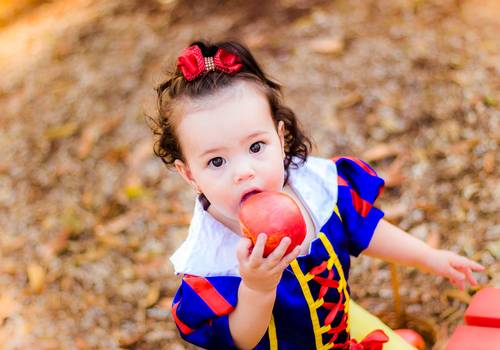 Ensaio Externo de Lyra