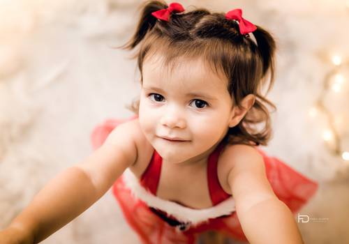 Especial de Natal 2017 de Ivy