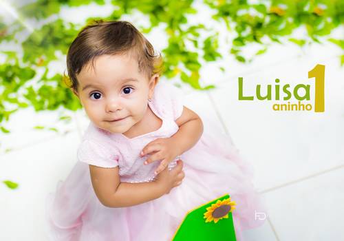 Aniversário Infantil de Luisa 1 aninho