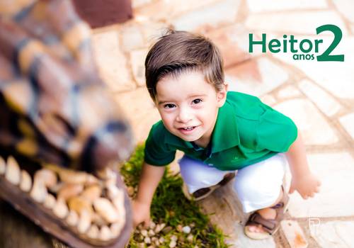 Aniversário Infantil de Heitor 2 aninhos 