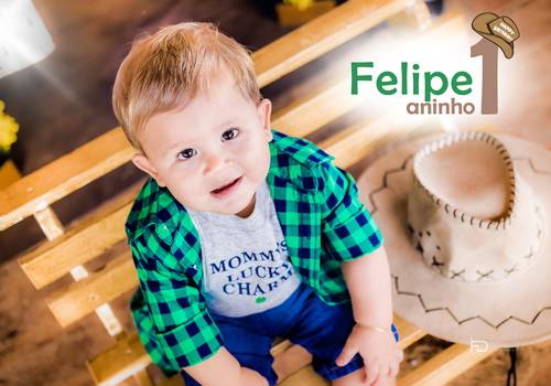 Aniversário Infantil de Felipe 1 aninho