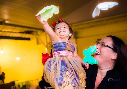 Aniversário Infantil de Maria Laura 1 aninho
