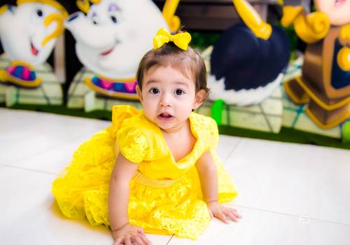 Aniversário Infantil de Luiza 1 aninho