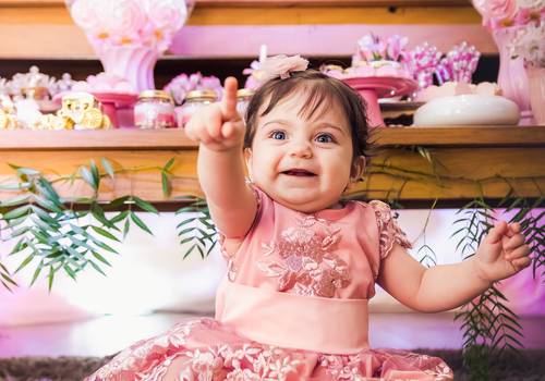 Aniversário Infantil de Maria Luíza 1 aninho 