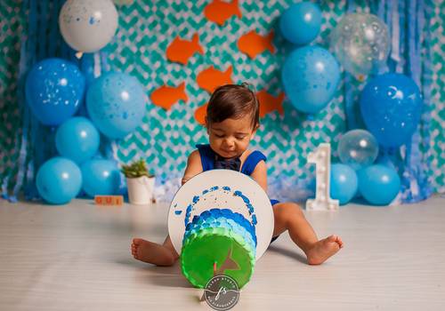 Ensaios Infantis de Smash The Cake Fundo do Mar do Gui