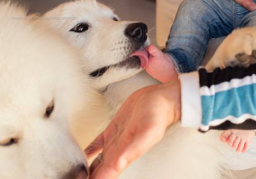 Crianças de Yasmin - 3 meses