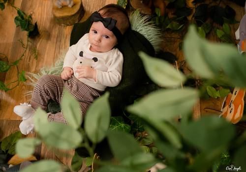 Acompanhamento Mensal de Floresta