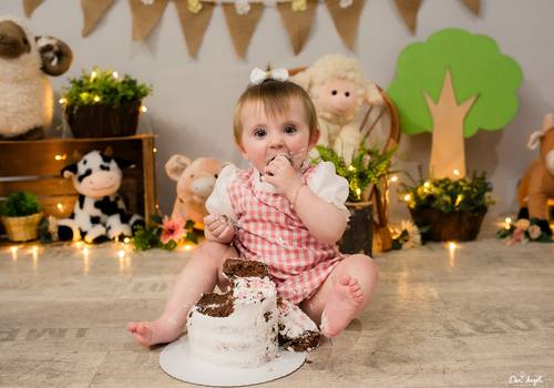 Smash The Cake de Smash The Cake Elisa