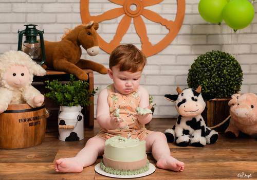 Smash The Cake de Smash The Cake Luan
