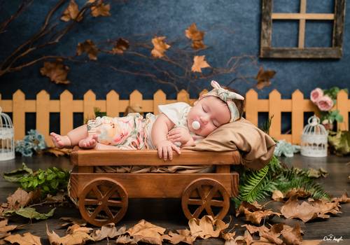 Acompanhamento Mensal de Outono