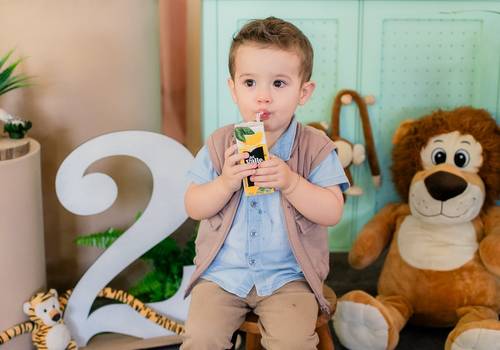 Aniversário Infantil de 2º Ano Ravi