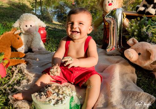 Smash The Cake de Smash The Cake Lorenzo