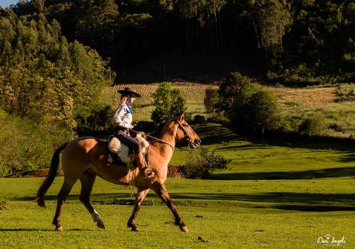 Ensaio Pré 15 Anos de Pré 15 Anos Lívia
