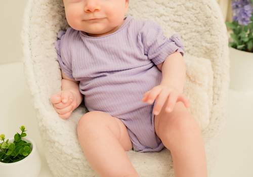 Acompanhamento Mensal de Lavanda