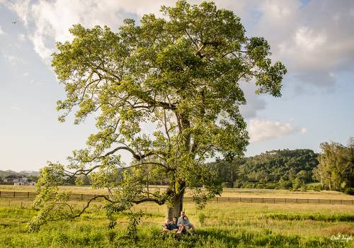 Ensaio Família de Ensaio Família Salazar