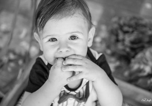 Acompanhamento Mensal de Carnaval
