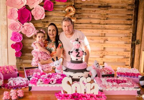 Aniversário Infantil de 2º Ano Sofia