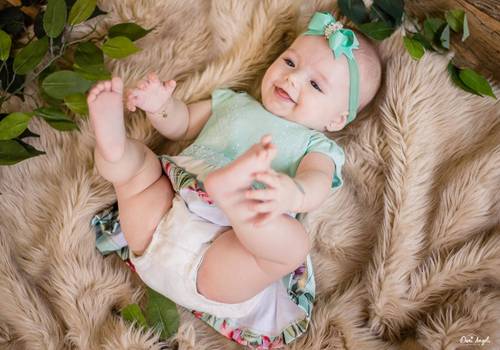 Acompanhamento Mensal de Floresta