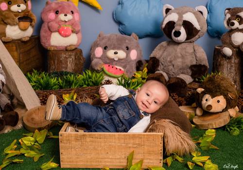 Acompanhamento Mensal de Bosque